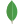 MongoDB
